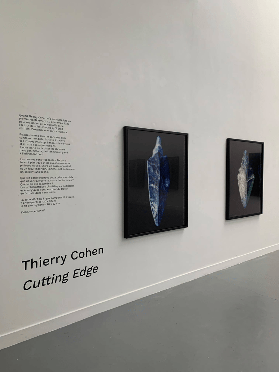 Cutting Edge By Thierry Cohen At Galerie Esther Woerdehoff Artland