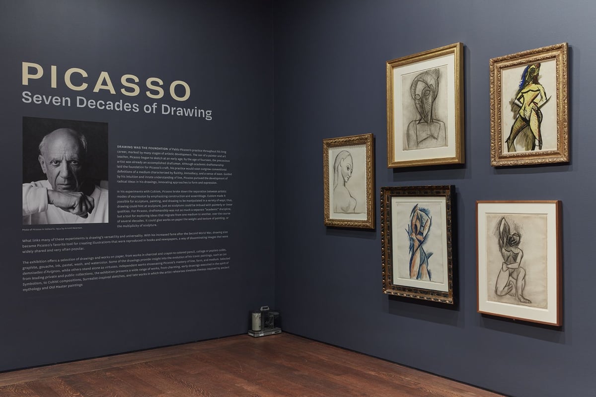 Seven Decades of Drawing by Pablo Picasso at Acquavella Galleries - Artland