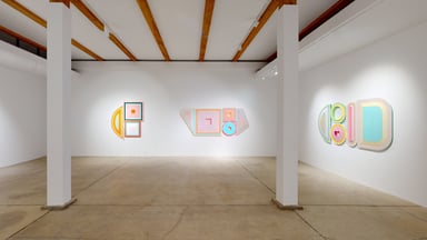 Beverly Fishman  Kavi Gupta Gallery
