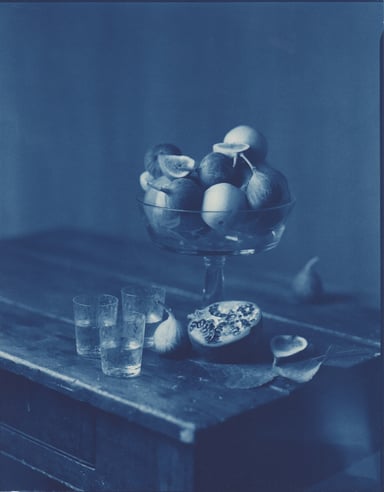 Cyanotype #10 - Holden Luntz Gallery