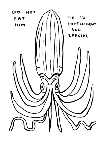 David Shrigley