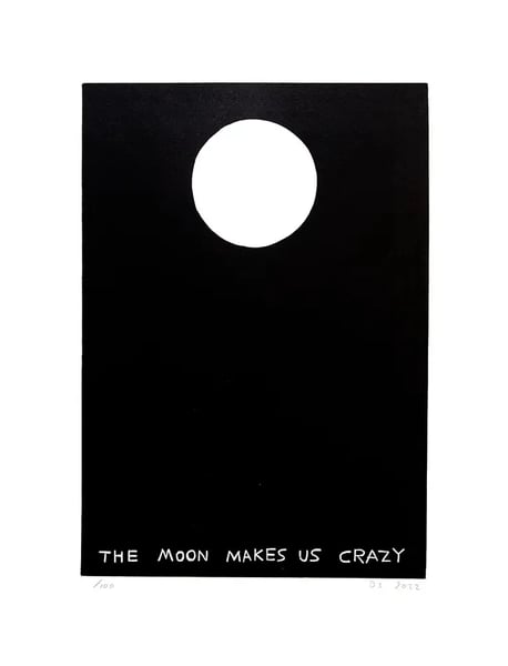 David Shrigley